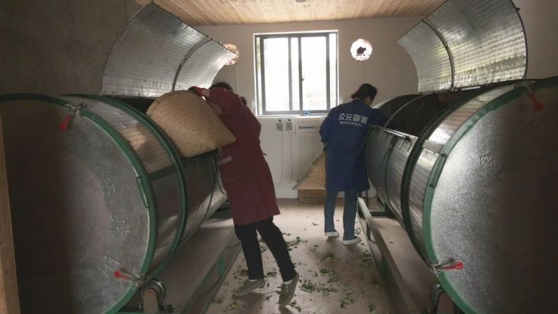 关于上梅乡:党建引领 共享茶厂 共制好茶的资讯(2)