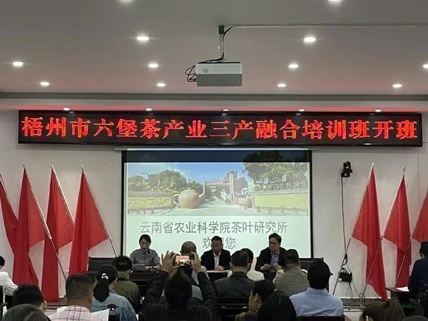 有关于云南茶叶所成功举办广西梧州市“六堡茶产业三产融合”专题培训班的信息