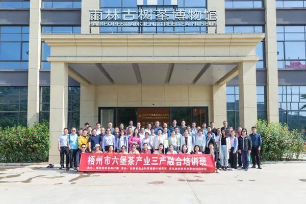 有关于云南茶叶所成功举办广西梧州市“六堡茶产业三产融合”专题培训班的信息(2)