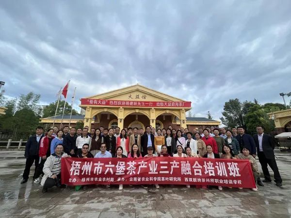 有关于云南茶叶所成功举办广西梧州市“六堡茶产业三产融合”专题培训班的信息(1)