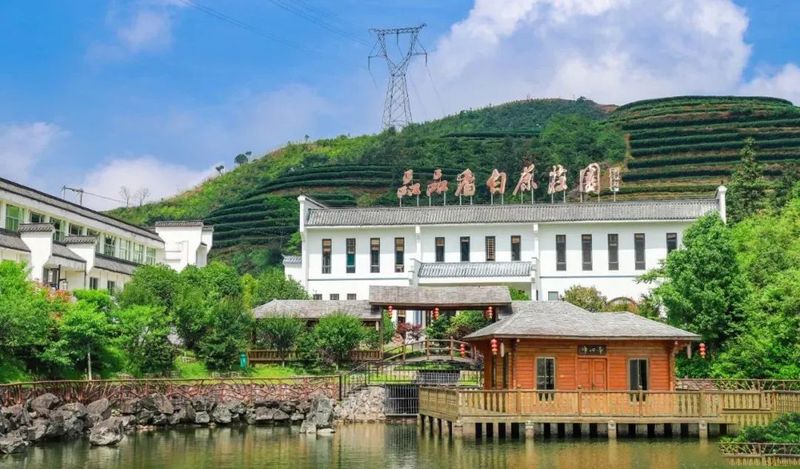 关于“绿叶”→“金叶”！的内容(1)