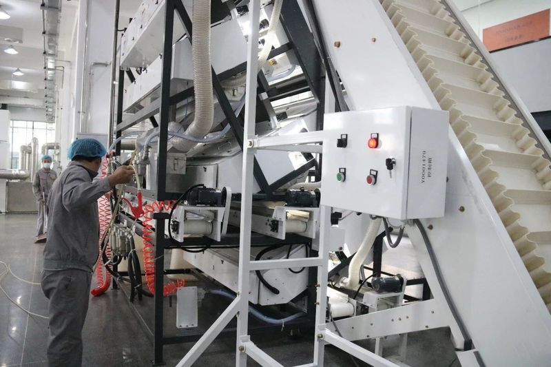 关于“绿叶”→“金叶”！的内容