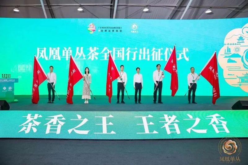 关于2023潮州工夫茶大会构筑粤茶文化新高地的内容(14)