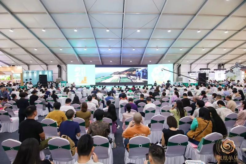 关于2023潮州工夫茶大会构筑粤茶文化新高地的内容(1)