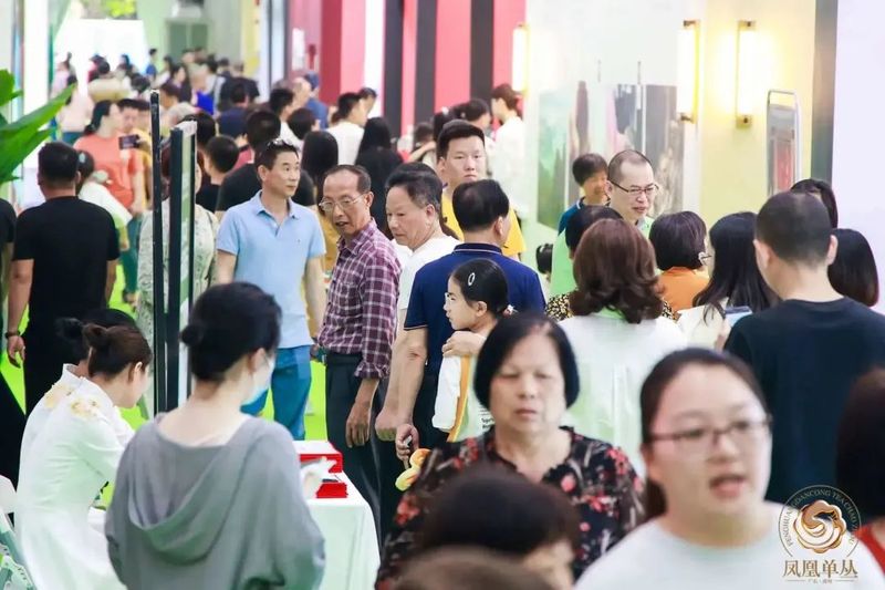 关于2023潮州工夫茶大会构筑粤茶文化新高地的内容(8)