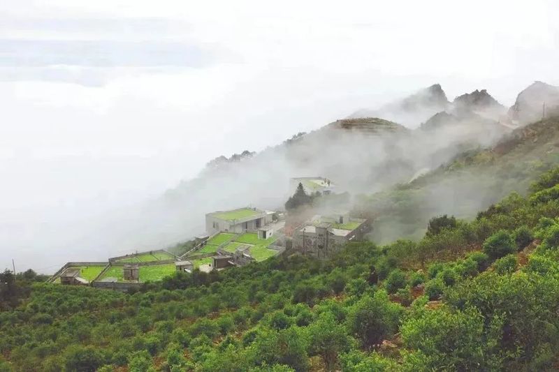 关于2023潮州工夫茶大会构筑粤茶文化新高地的内容(17)