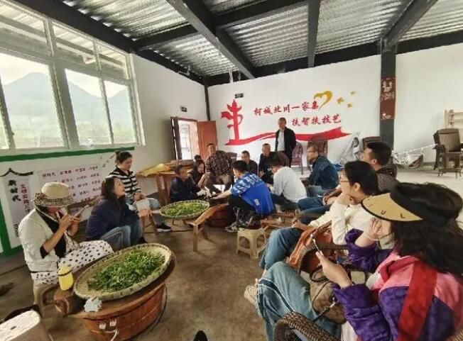 关于游仙区:初夏茶飘香、同心助农忙的资讯(1)