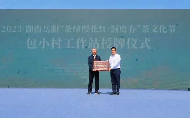 关于茶香洞庭 春满巴陵 2023岳阳“茶绿樱花红·洞庭春”茶文化节隆重举行的资讯(6)