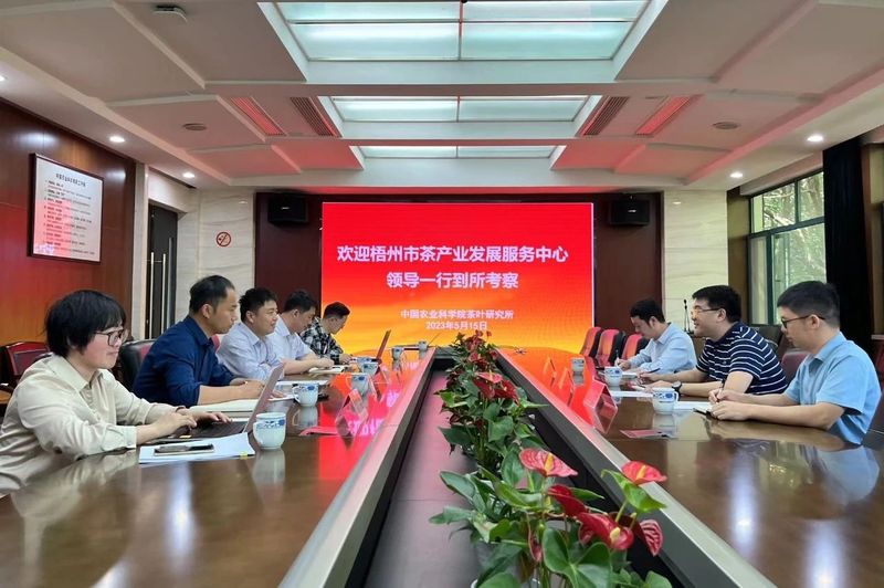 关于深化合作 共谋发展,市政府副秘书长、市茶产业发展中心主任孙本旭率队赴杭州调研交流的资讯