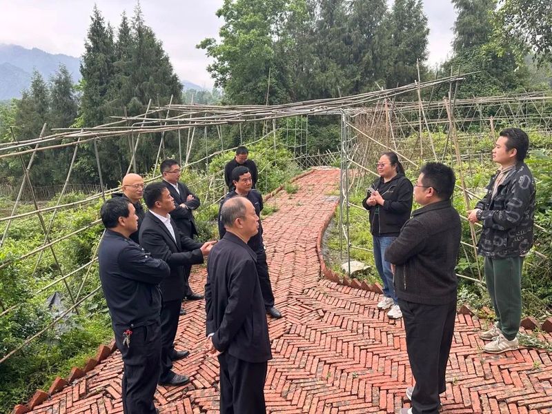 有关于永顺县人大常委会深入毛坝乡调研莓茶产业发展情况的消息(2)