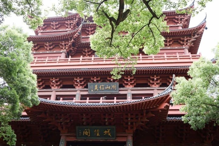 关于浙江省非遗保护协会茶文化专委会成立的新闻