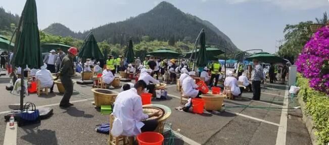 有关于黔西南州茶产业高质量发展论坛暨茶产业招商引资推介会的信息(3)