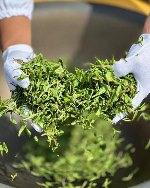 有关于黔西南州茶产业高质量发展论坛暨茶产业招商引资推介会的信息(1)