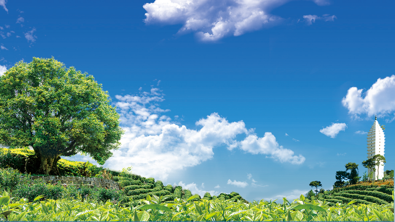 关于解密中国红茶高质量发展路径！2023红茶大会亮点剧透来了的相关信息(1)