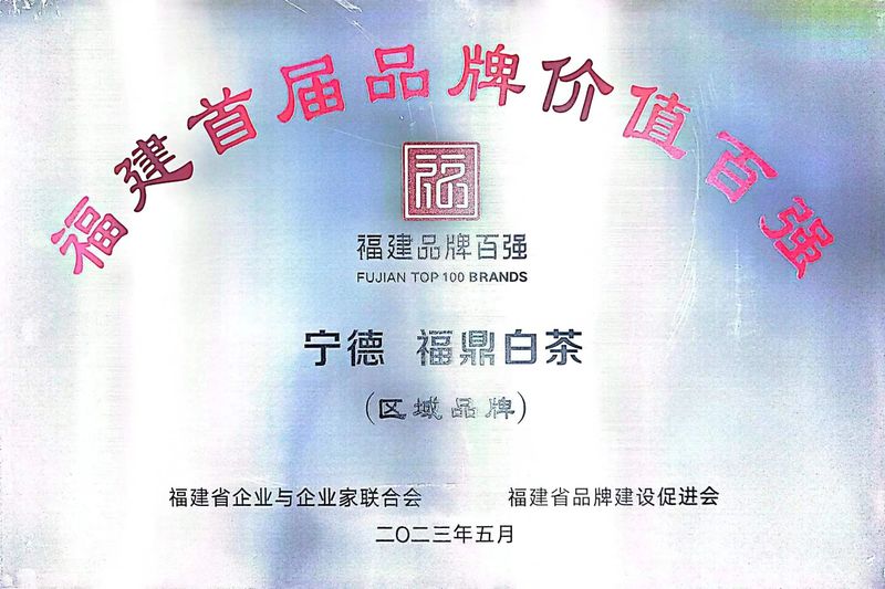 有关于福鼎白茶入选福建首届品牌价值百强榜单!的信息(3)