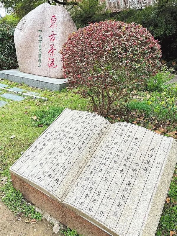 关于“一带一路”十周年,湖北重现“东方茶港”辉煌,出口值全国第三的信息(3)