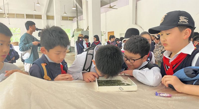 关于特色课堂搬进茶园！玄武区这所小学开展“沉浸式”劳动教育！的相关内容(14)