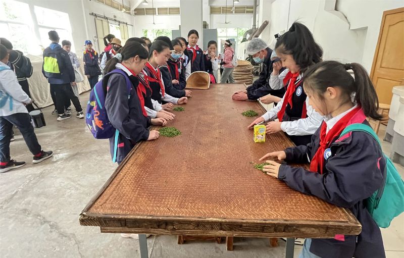 关于特色课堂搬进茶园！玄武区这所小学开展“沉浸式”劳动教育！的相关内容(12)