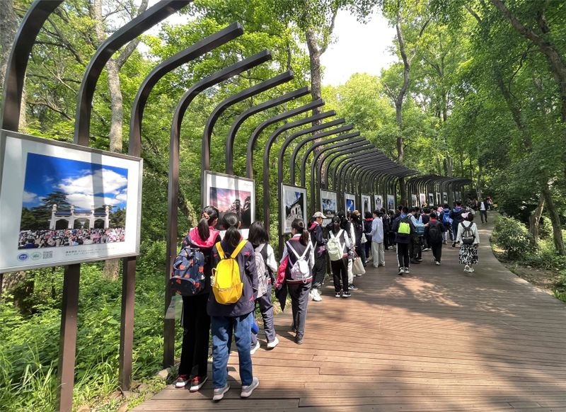 关于特色课堂搬进茶园！玄武区这所小学开展“沉浸式”劳动教育！的相关内容(17)