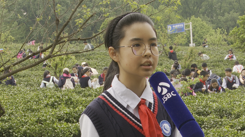 关于特色课堂搬进茶园！玄武区这所小学开展“沉浸式”劳动教育！的相关内容(21)