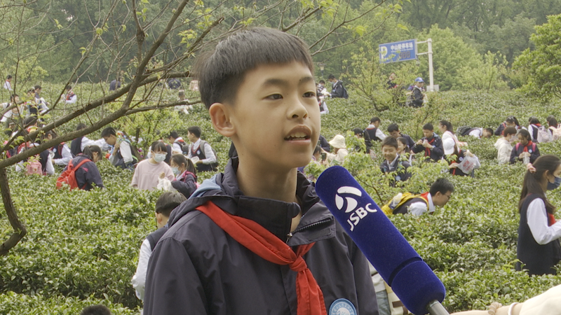 关于特色课堂搬进茶园！玄武区这所小学开展“沉浸式”劳动教育！的相关内容(22)