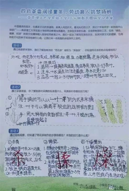 关于特色课堂搬进茶园！玄武区这所小学开展“沉浸式”劳动教育！的相关内容(8)