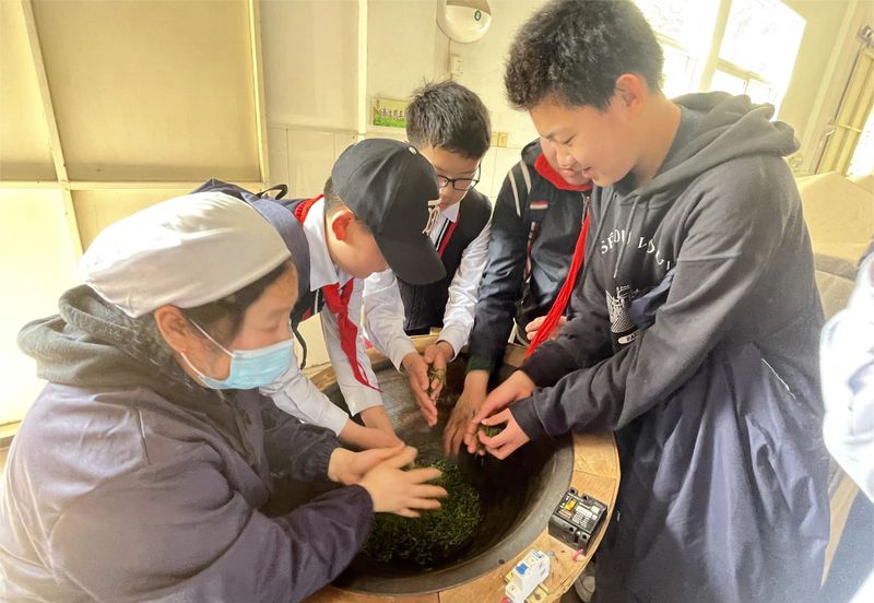 关于特色课堂搬进茶园！玄武区这所小学开展“沉浸式”劳动教育！的相关内容(13)