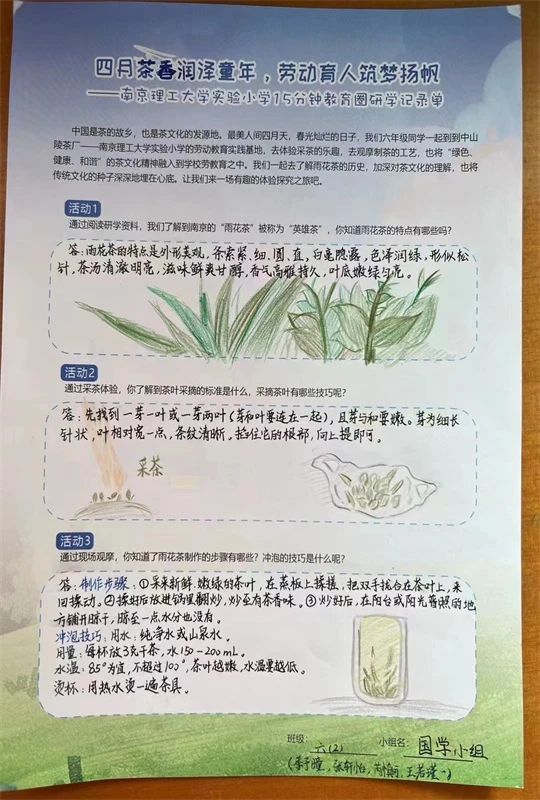 关于特色课堂搬进茶园！玄武区这所小学开展“沉浸式”劳动教育！的相关内容(6)