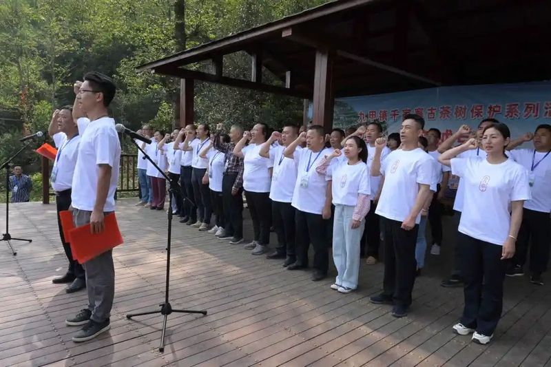 有关于镇沅县古茶树新增守护者！的相关信息