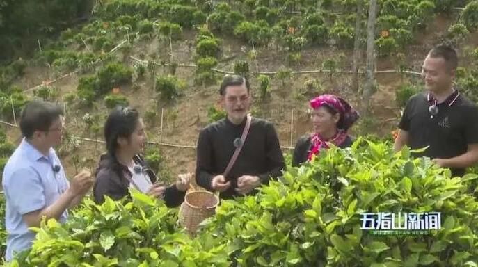 关于阿根廷驻华大使赴水满乡品五指山茶的新闻