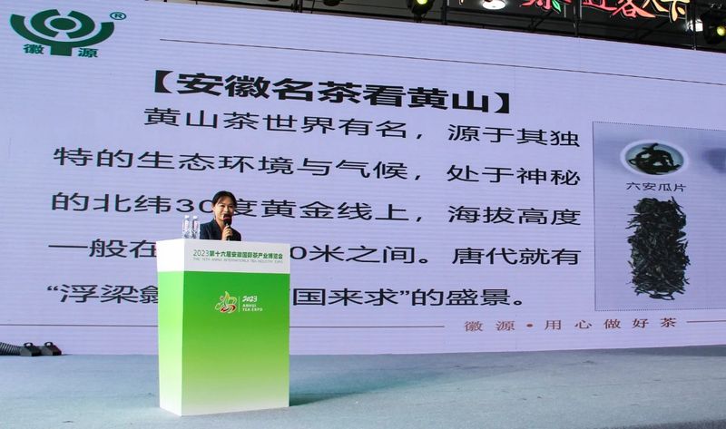 有关于好看黄山景 好喝歙县茶！歙县茶专场推介会在合肥成功举办的相关内容(5)