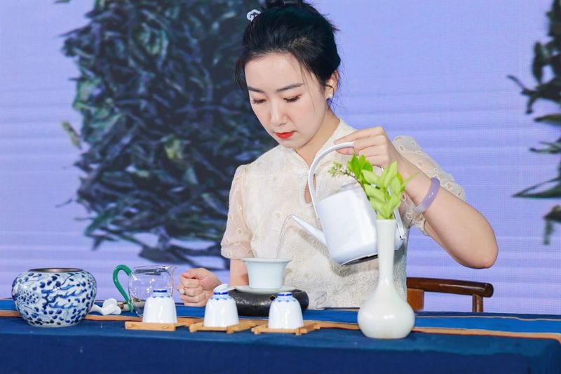 有关于好看黄山景 好喝歙县茶！歙县茶专场推介会在合肥成功举办的相关内容(2)