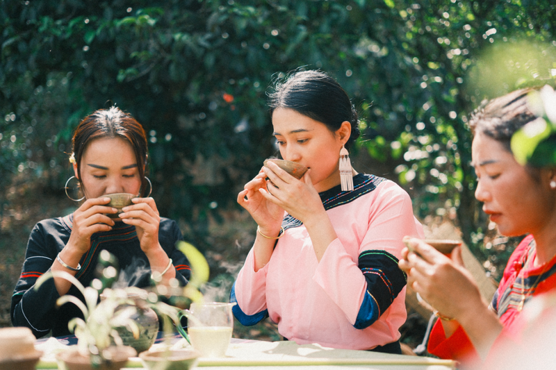 有关于品鉴文东：澜沧县文东乡第九届斗茶大赛即将开赛！的资讯(2)
