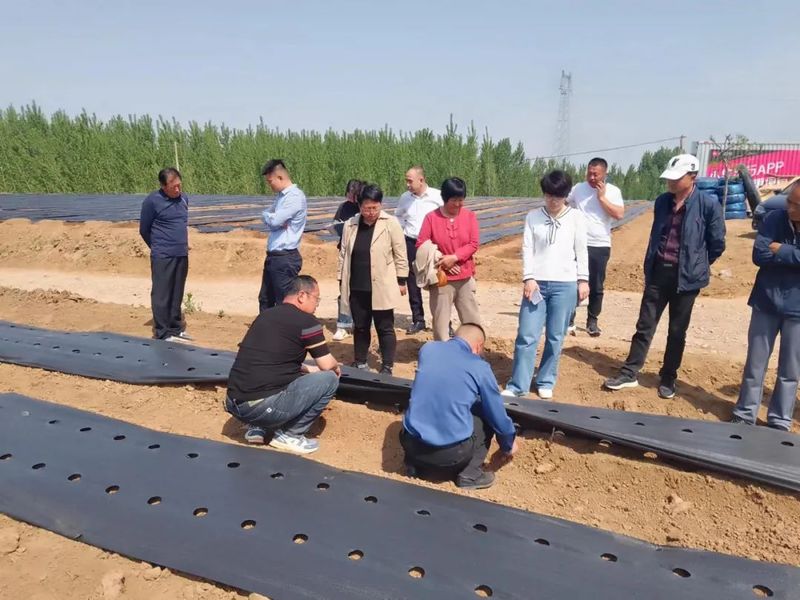 有关于皇华镇：组织引领、社企联建，推进茶产业提质扩面的最新消息(2)