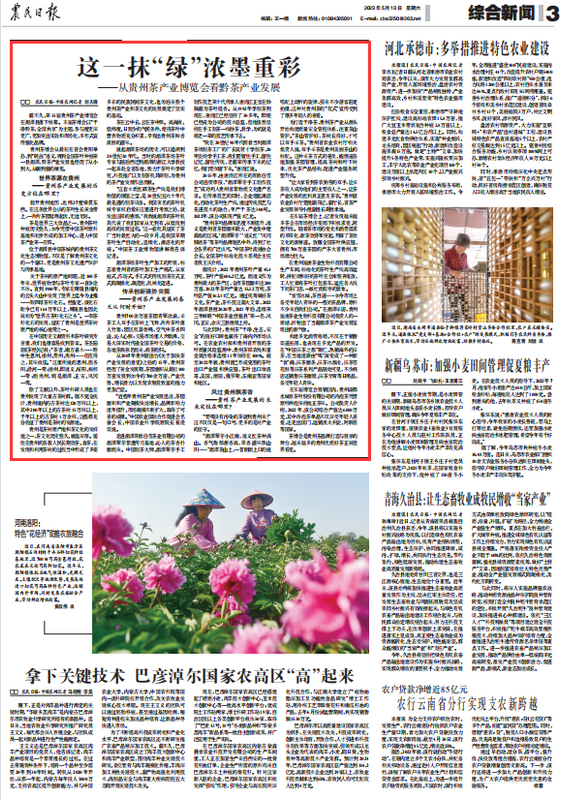 关于《农民日报》关注贵州茶产业发展的消息