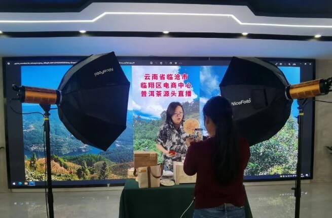 关于临沧：多举措推动茶产业高质量发展的内容(3)