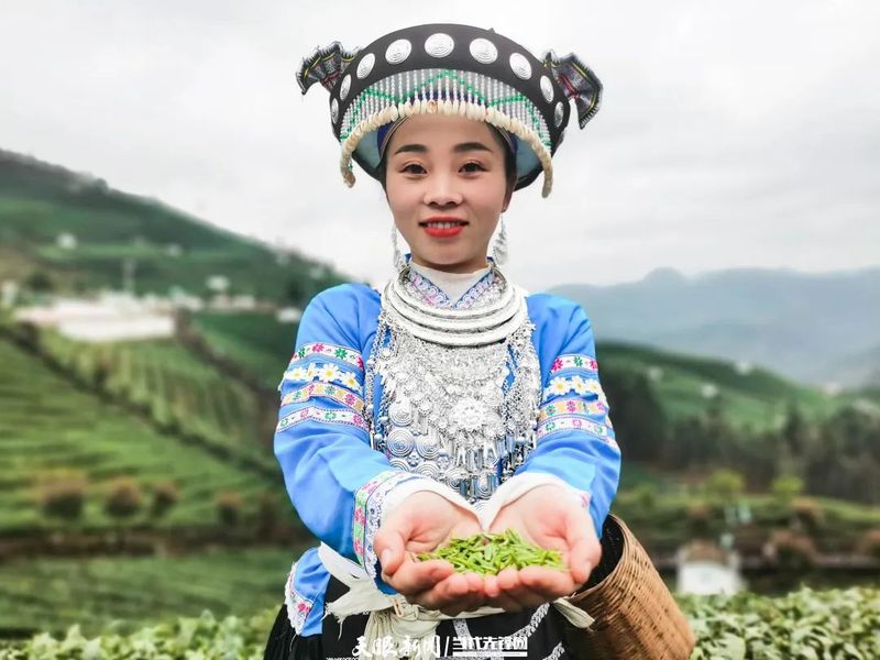 有关于贵定：茶旅融合助力乡村振兴的最新消息(5)