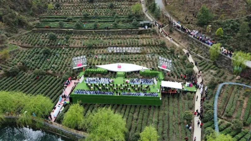 有关于白河绿茶入选全国名特优新农产品名录的最新消息(2)