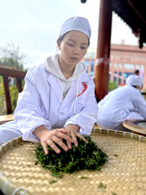 关于普安:以赛促提升 激发茶产业创业就业新活力的信息(3)