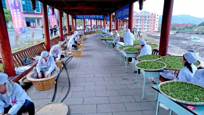 关于普安:以赛促提升 激发茶产业创业就业新活力的信息(1)