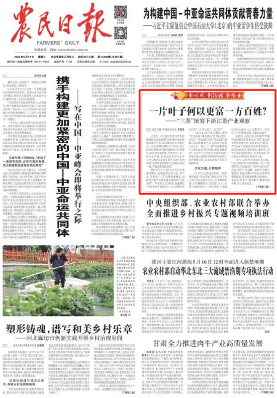 关于“三茶”统筹新背景下,浙茶如何历久弥新?记者探寻的最新消息