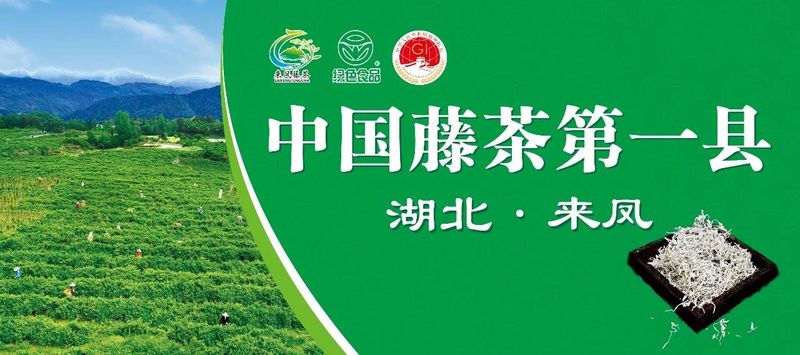 关于2023茶乡旅游发展大会指定用茶——来凤藤茶的内容