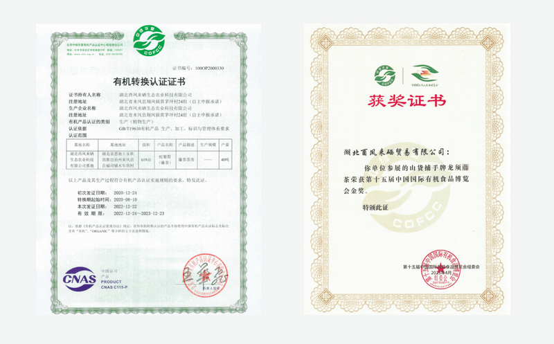 关于2023茶乡旅游发展大会指定用茶——来凤藤茶的内容(10)