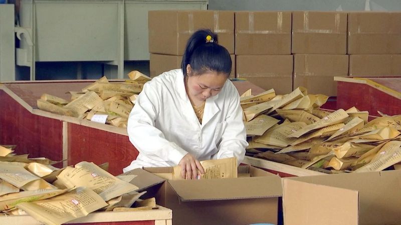 有关于何坝街道凌云村：茶企加工忙 茶农稳增收的消息(4)