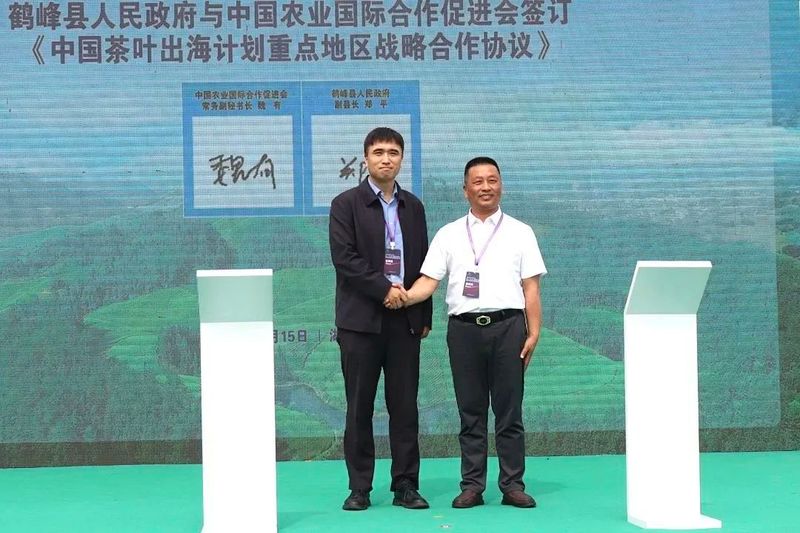 关于广开思路,聚焦国际茶业市场,这场盛会何以引起高度关注?的相关内容(10)