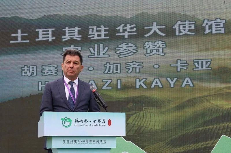 关于广开思路,聚焦国际茶业市场,这场盛会何以引起高度关注?的相关内容(5)