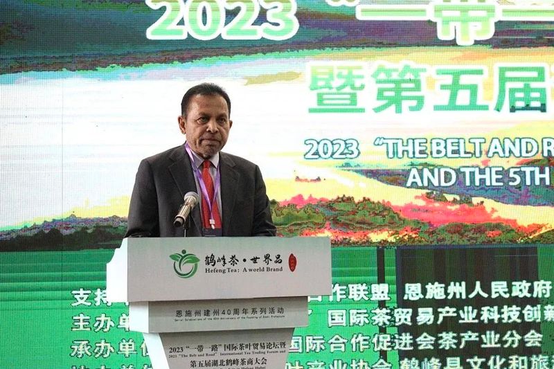 关于广开思路,聚焦国际茶业市场,这场盛会何以引起高度关注?的相关内容(19)