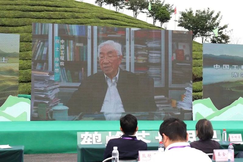 关于广开思路,聚焦国际茶业市场,这场盛会何以引起高度关注?的相关内容(1)