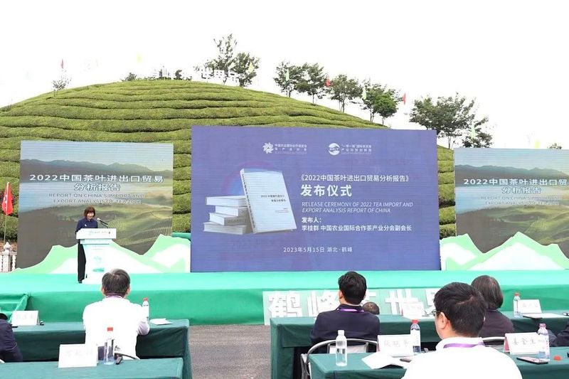 关于广开思路,聚焦国际茶业市场,这场盛会何以引起高度关注?的相关内容(7)