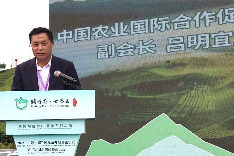 关于广开思路,聚焦国际茶业市场,这场盛会何以引起高度关注?的相关内容(2)